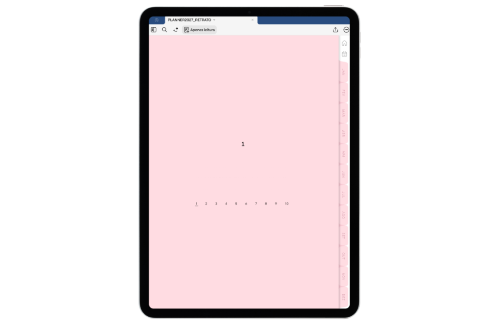 PLANNER DIGITAL 2027