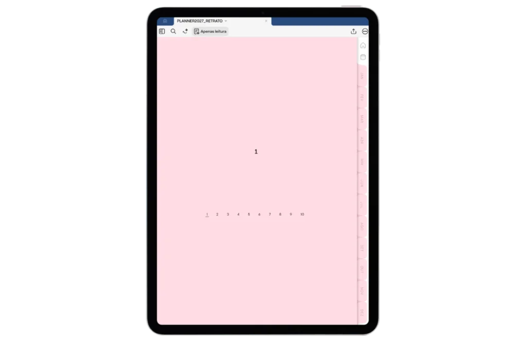 PLANNER DIGITAL 2027